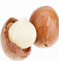 Nuez de Macadamia Borén.